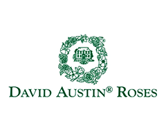 ¥Ð¥éÉĥǥӥåɥª¡¼¥¹¥Á¥ó DAVID AUSTIN ROSES