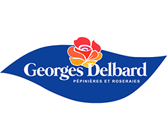 ¥Ð¥éÉĥǥë¥Ð¡¼¥ë Delbard