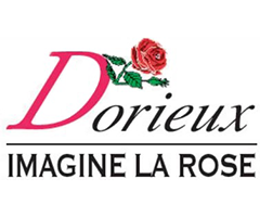 ¥Ð¥éÉĥɥê¥å Dorieux