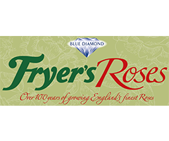 ¥Ð¥éÉĥե饤¥ä¡¼¥í¡¼¥¼¥¹ Fryer's Roses