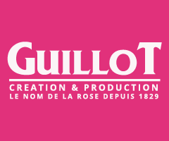 ¥Ð¥éÉÄ¥®¥ç¡¼ Guillot