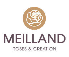 ¥Ð¥éÉĥᥤ¥¢¥ó MEILLAND